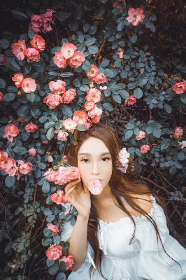 一笑随歌 电视剧